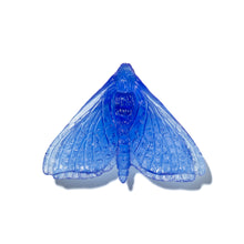 Load image into Gallery viewer, Pūriri Moth - Wings In