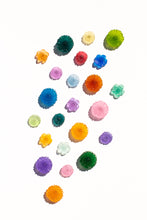 Load image into Gallery viewer, Garden Path Flower Set