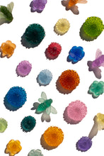 Load image into Gallery viewer, Garden Path Flower Set