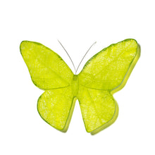 Load image into Gallery viewer, Kinetic Mount Butterfly - Monarch / Kakahu (large)