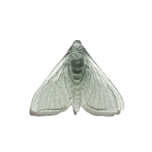 Load image into Gallery viewer, Pūriri Moth - Wings In