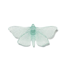 Load image into Gallery viewer, Pūriri Moth