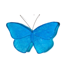 Load image into Gallery viewer, Kinetic Mount Butterfly - Red Admiral / Kahukura (small)