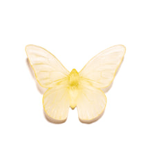 Load image into Gallery viewer, Classic Mount Butterfly - Monarch