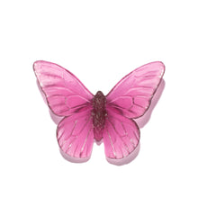 Load image into Gallery viewer, Classic Mount Butterfly - Monarch