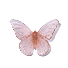 Load image into Gallery viewer, Classic Mount Butterfly - Monarch