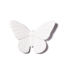 Load image into Gallery viewer, Classic Mount Butterfly - Monarch