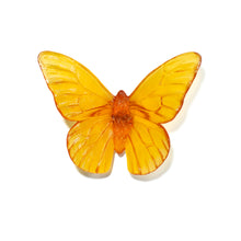 Load image into Gallery viewer, Classic Mount Butterfly - Monarch