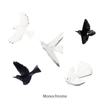 Load image into Gallery viewer, 5 Bird Flock