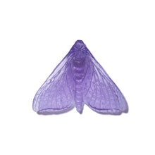 Load image into Gallery viewer, Pūriri Moth - Wings In