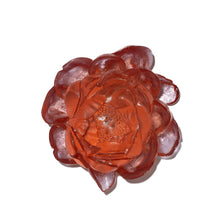 Load image into Gallery viewer, Peony