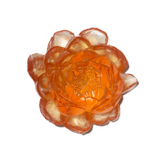 Load image into Gallery viewer, Peony