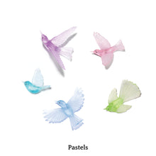 Load image into Gallery viewer, 5 Bird Flock