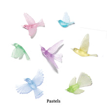 Load image into Gallery viewer, 7 Bird Flocks