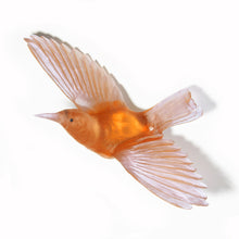 Load image into Gallery viewer, Tīeke / Saddleback