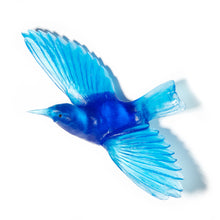 Load image into Gallery viewer, Tīeke / Saddleback