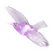 Load image into Gallery viewer, Tīeke / Saddleback