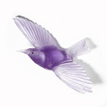 Load image into Gallery viewer, Tīeke / Saddleback