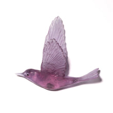 Load image into Gallery viewer, Pipiwharauroa / Shining Cuckoo