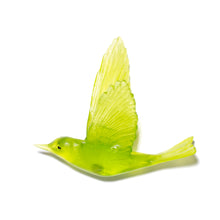 Load image into Gallery viewer, Pipiwharauroa / Shining Cuckoo