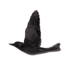 Load image into Gallery viewer, Pipiwharauroa / Shining Cuckoo