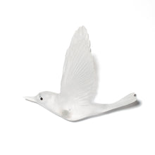 Load image into Gallery viewer, Pipiwharauroa / Shining Cuckoo