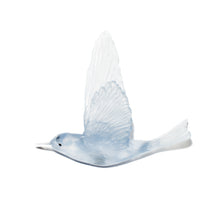 Load image into Gallery viewer, Pipiwharauroa / Shining Cuckoo