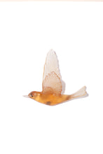 Load image into Gallery viewer, Pipiwharauroa / Shining Cuckoo