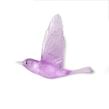 Load image into Gallery viewer, Pipiwharauroa / Shining Cuckoo