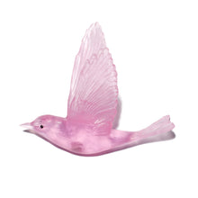 Load image into Gallery viewer, Pipiwharauroa / Shining Cuckoo