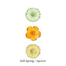 Load image into Gallery viewer, Garden Path Flower Set