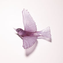 Load image into Gallery viewer, Tauhou / Silvereye