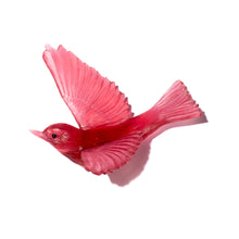 Load image into Gallery viewer, Tauhou / Silvereye