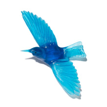 Load image into Gallery viewer, Tīeke / Saddleback