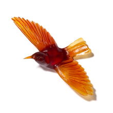 Load image into Gallery viewer, Tīeke / Saddleback