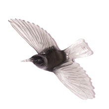 Load image into Gallery viewer, Tīeke / Saddleback