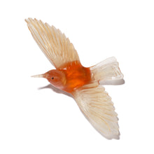 Load image into Gallery viewer, Tīeke / Saddleback