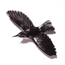 Load image into Gallery viewer, Tīeke / Saddleback