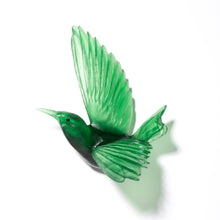 Load image into Gallery viewer, Tīeke - wings up / Saddleback