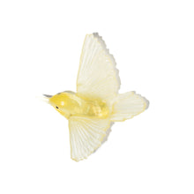 Load image into Gallery viewer, Miromiro / Tomtit