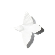 Load image into Gallery viewer, Miromiro / Tomtit