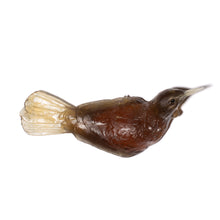 Load image into Gallery viewer, Tūī