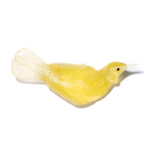 Load image into Gallery viewer, Tūī