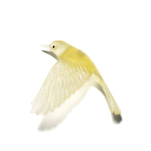 Load image into Gallery viewer, Pōpokotea / Whitehead