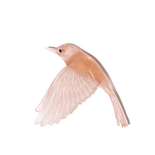 Load image into Gallery viewer, Pōpokotea / Whitehead