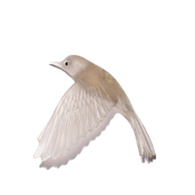 Load image into Gallery viewer, Pōpokotea / Whitehead