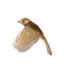 Load image into Gallery viewer, Pōpokotea / Whitehead