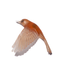 Load image into Gallery viewer, Pōpokotea / Whitehead