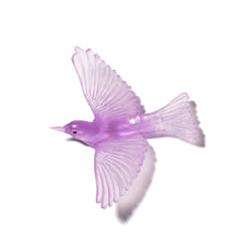 Load image into Gallery viewer, Tauhou / Silvereye