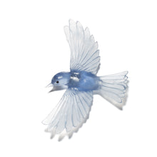 Load image into Gallery viewer, Mōhua / Yellowhead